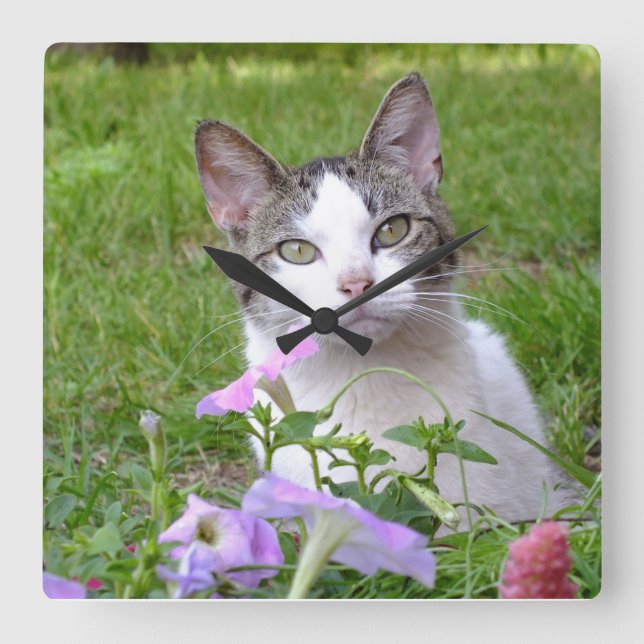 Kitty in the Petunias Wall Clock (Front)