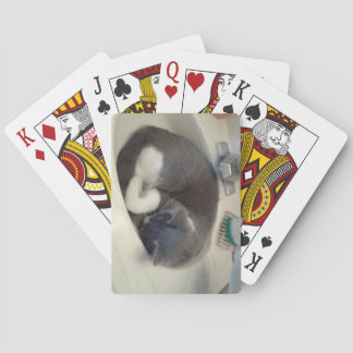 Kitty in the sink playing cards