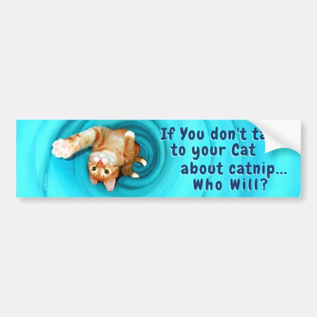 Kitty Inspirations Bumper Sticker (Front)