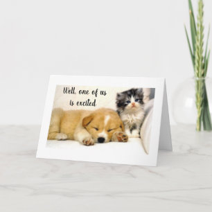 **KITTY** IS EXCITED FOR YOU **80th BIRTHDAY* Card