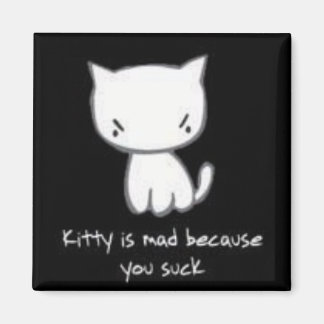 kitty is mad magnet