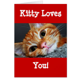 Kitty Kat