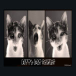 Kitty Kat Selfies Poster<br><div class="desc">Kitty Kat Selfies Poster</div>