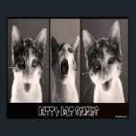 Kitty Kat Selfies Poster<br><div class="desc">Kitty Kat Selfies Poster</div>