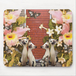 kitty kats love flowers mouse pad