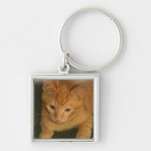 Kitty Keychain