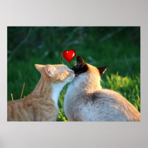 kitty kiss poster