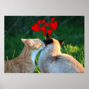 Kitty kiss poster