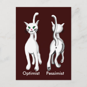 Kitty kitty postcard