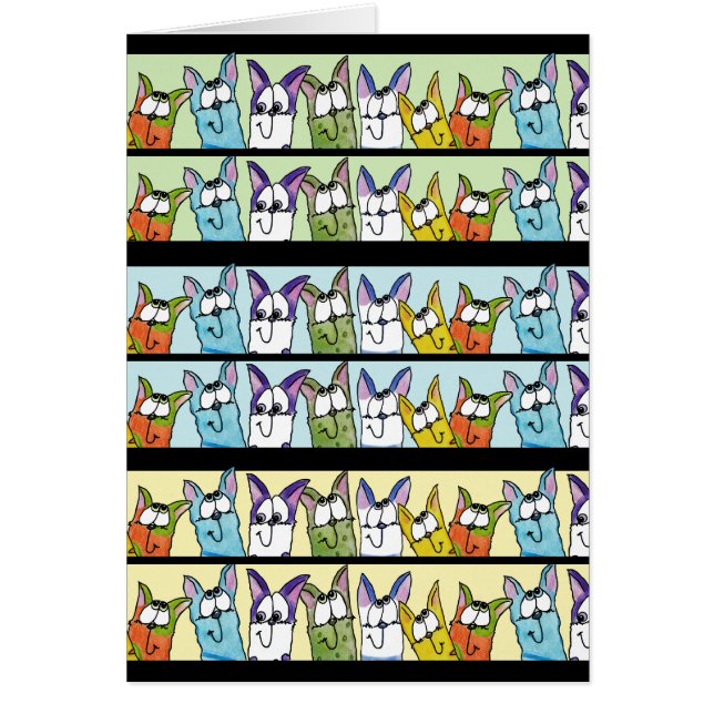 Kitty Lineup-Colourful Cats (Front)