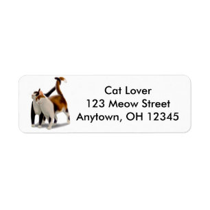 Kitty Love Label Return Address Label