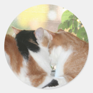 Kitty love sticker