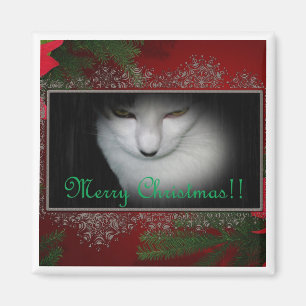 Kitty Lovers Christmas !! Magnet