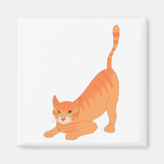 Kitty magnet