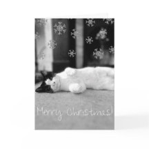 Kitty Merry Christmas Card