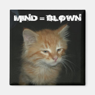 Kitty "MIND = BLOWN" Magnet
