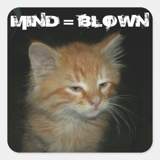 Kitty "MIND = BLOWN" Stickers - Set 20 (Front)