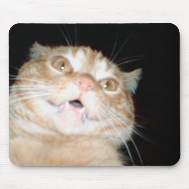 Kitty Mouse Pad (Front)