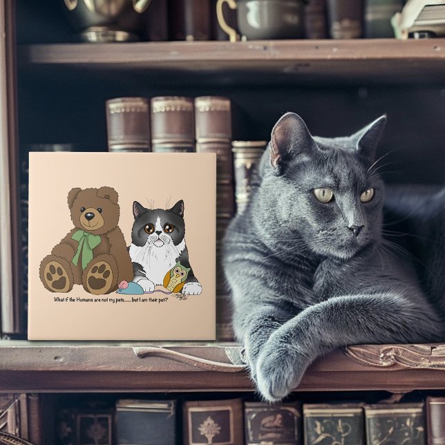Kitty Not Pet Ceramic Tile (Creator Uploaded)