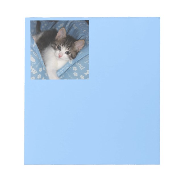 Kitty On Blue Notepad (Front)