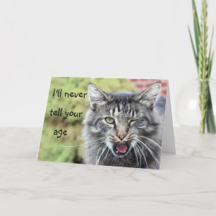 Kitty over the hill birthday card