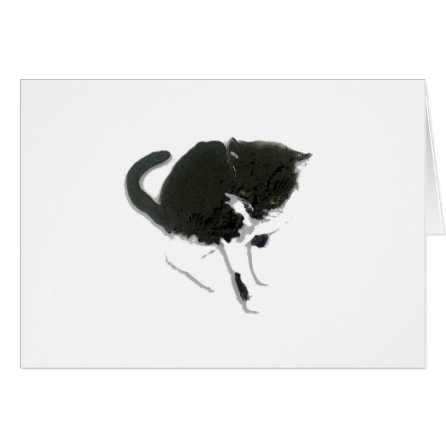 Kitty Painting Black and White Cat (Front Horizontal)