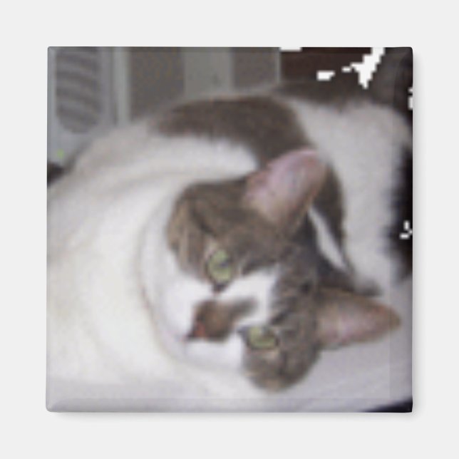 Kitty Paperweight Magnet (Front)