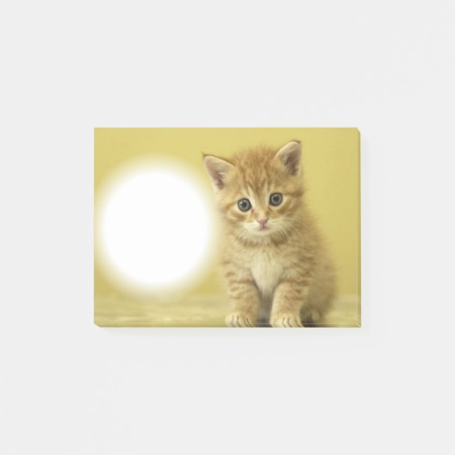 Kitty Paw-It Post-it Notes (Front)