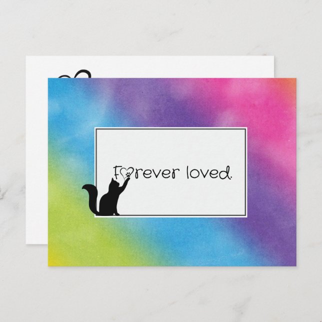 Kitty Pet Loss Sympathy from Vet Postcard (Front/Back)