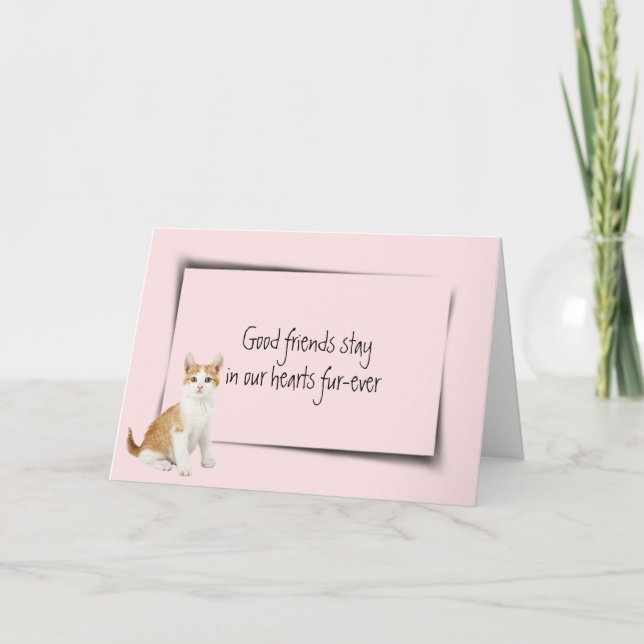Kitty Pet Loss Sympathy on Pink Card (Front)