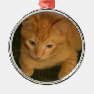 Kitty Photograph Ornament
