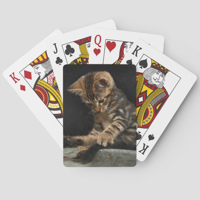 Kitty playing with tail cards (Back)