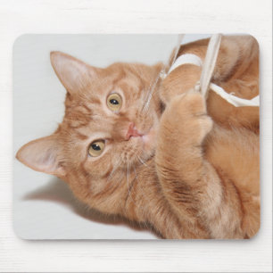 Kitty plays mouse pad