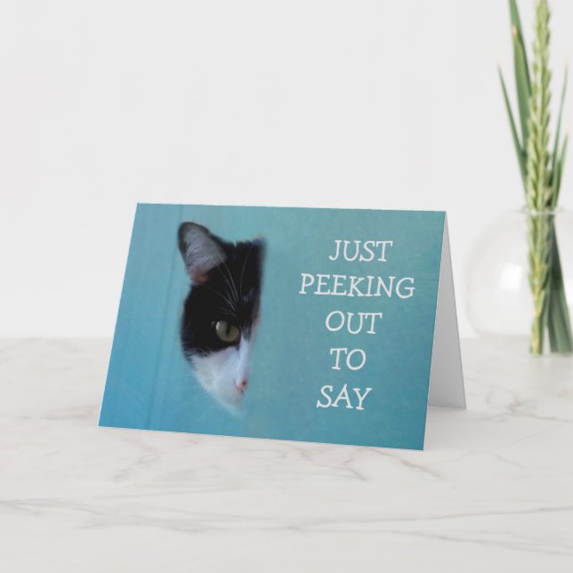 Kitty Poetry Get Well Card (Front)
