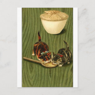 Kitty Postcard