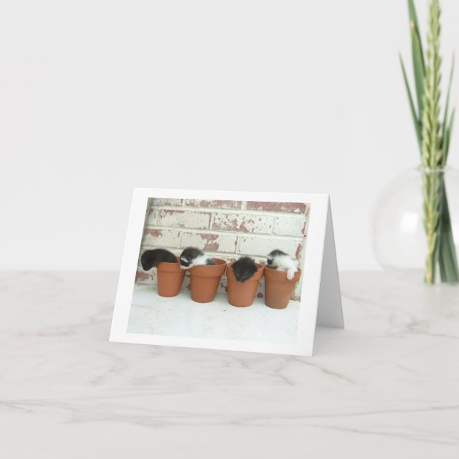 Kitty Pots Note Cards (Front)