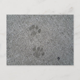 Kitty Prints Postcard