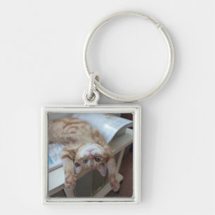 Kitty Relaxing Key Ring