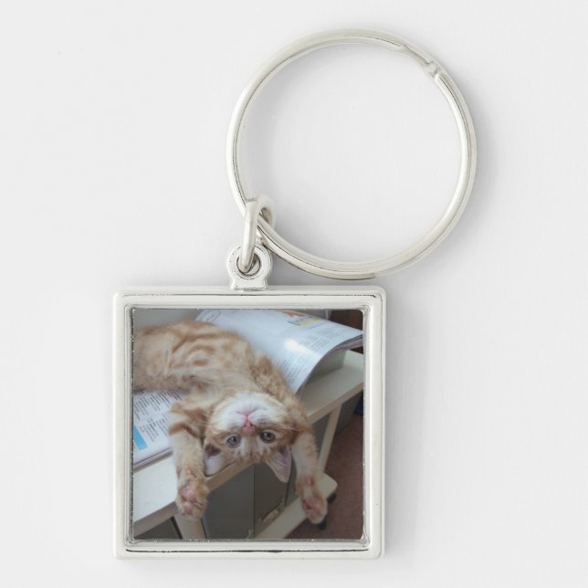 Kitty Relaxing Key Ring (Front)