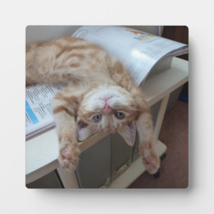 Kitty Relaxing Plaque