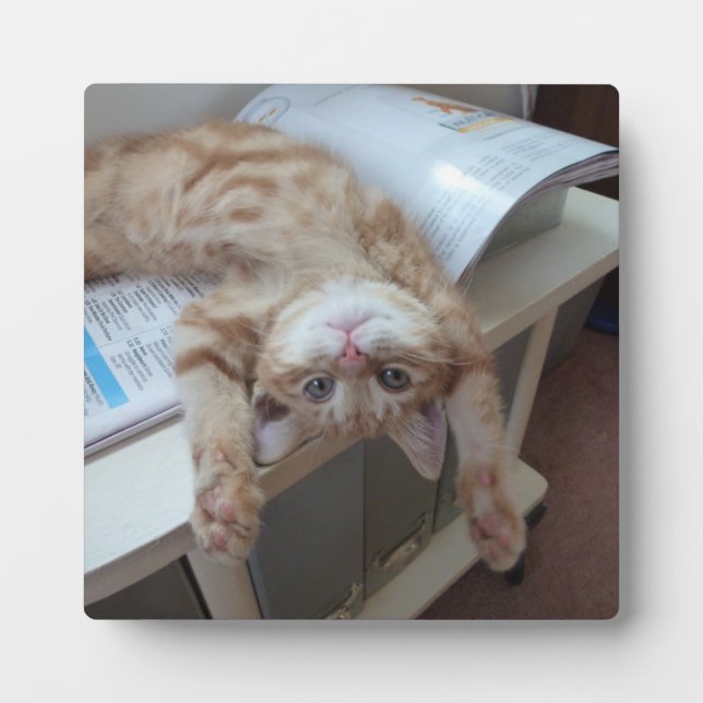 Kitty Relaxing Plaque (Front)