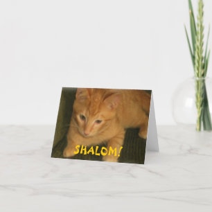 Kitty "SHALOM" Jewish Greeting Card