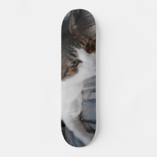 Kitty Skateboard