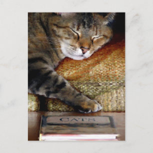 Kitty Sleep Book Postcard