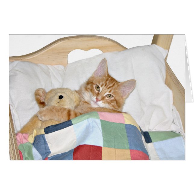 Kitty sleeps with teddy bear (Front Horizontal)