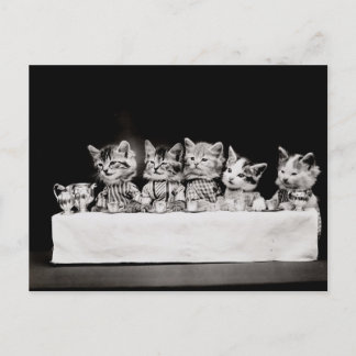 Kitty Tea Party Postcard
