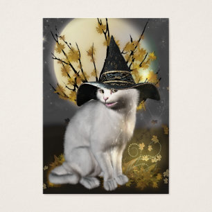 Kitty The Magical Witches Cat