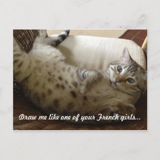Kitty Titanic Quote Postcard