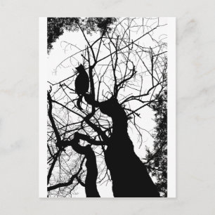 KITTY TREE SILHOUETTE B&W POSTCARD