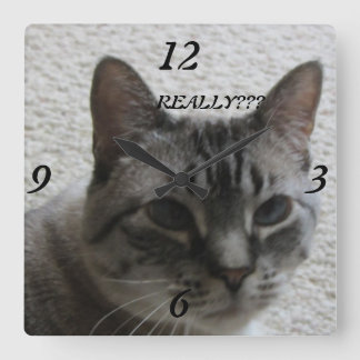 Kitty Tude Wall Clock !
